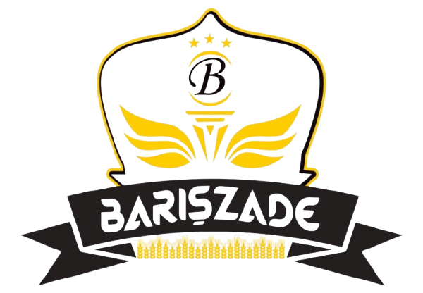 Barışzade Logo